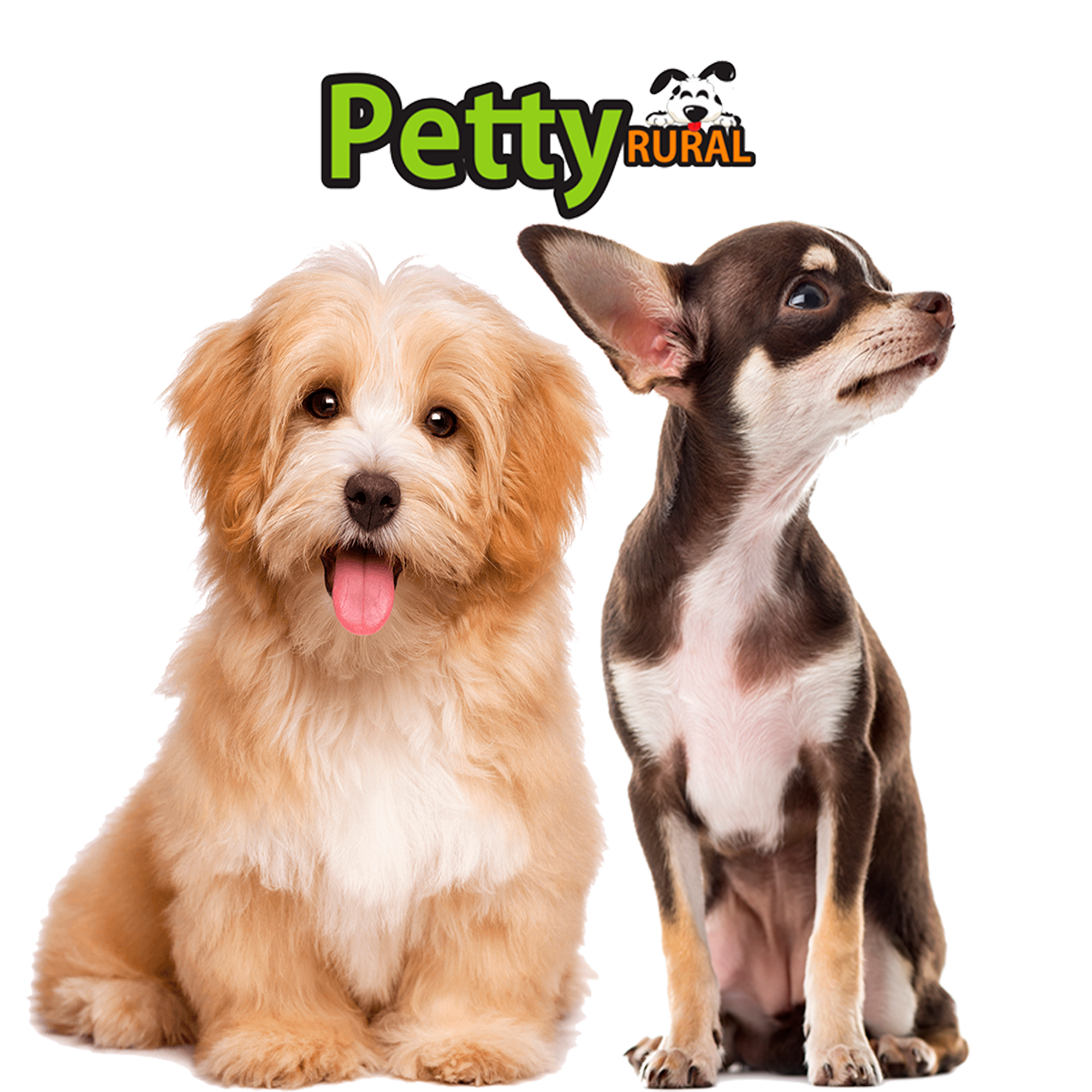 pet